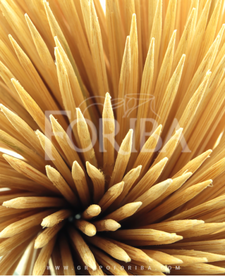 Brocheta Gruesa Bambu 20 cm