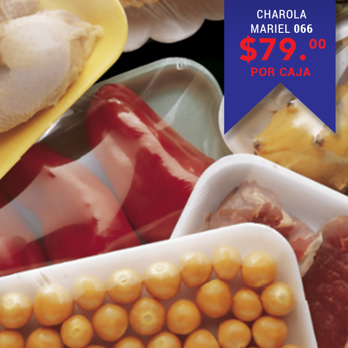 CHAROLA MARIEL 066